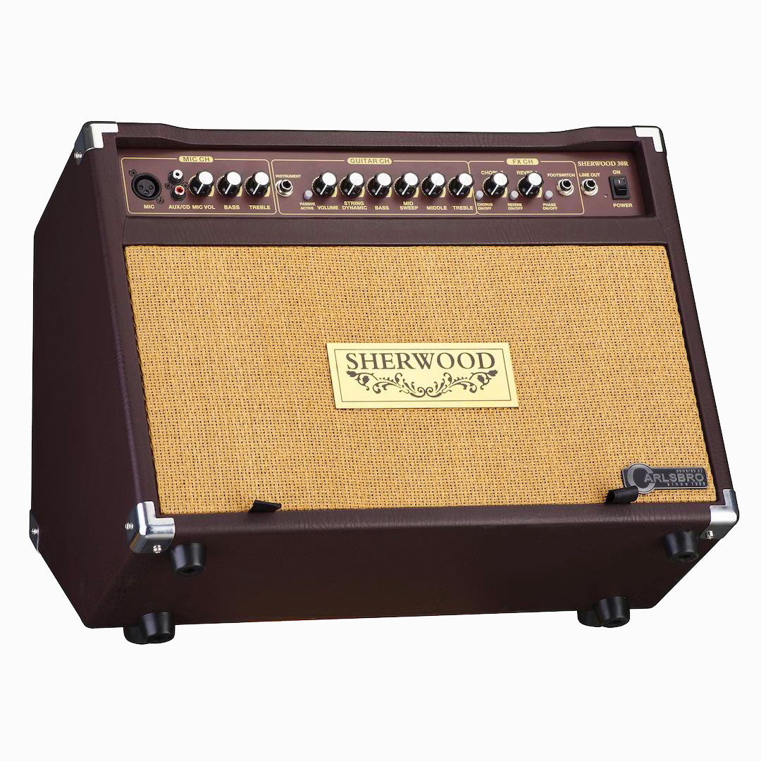 Calrsbro-Sherwood-30-acoustic-amplifier-left-side